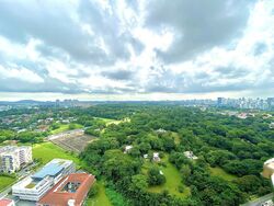 Blk 88 Skyville @ Dawson (Queenstown), HDB 4 Rooms #435219411